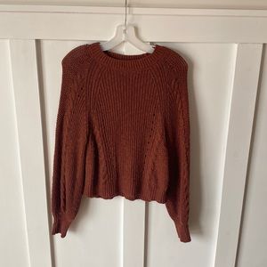 Reddish brown American eagle sweater